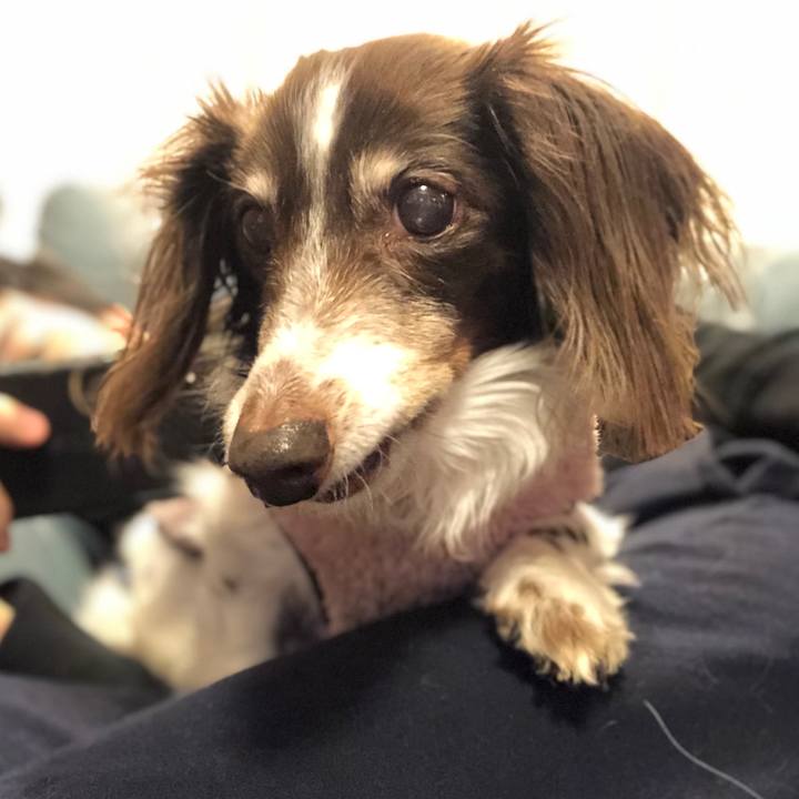 12230196 5fc4 411d a905 596f31e73ce5 1608159022652