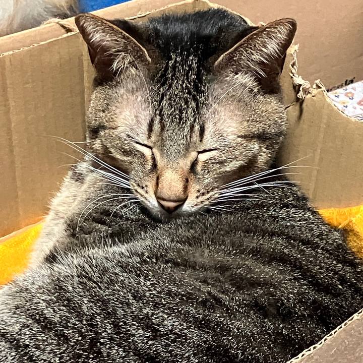 12233420 44ae 4346 8db1 9e33f6dcc95b 1767653664253