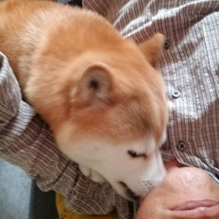 12233754 2ef3 41ab 95c4 397358f32191 1653456415273