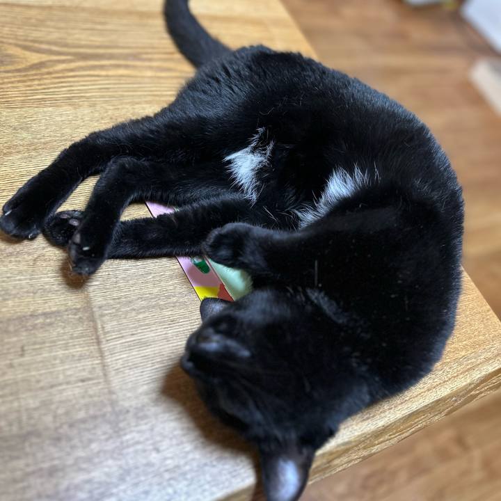 12233b1e a40e 4d25 b645 a01059e794fa 1687641973393