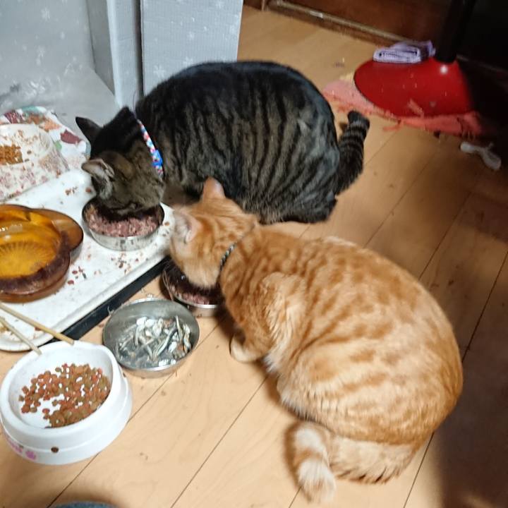 12234807 cbb5 40c3 a13a 697c448418af 1642627666415