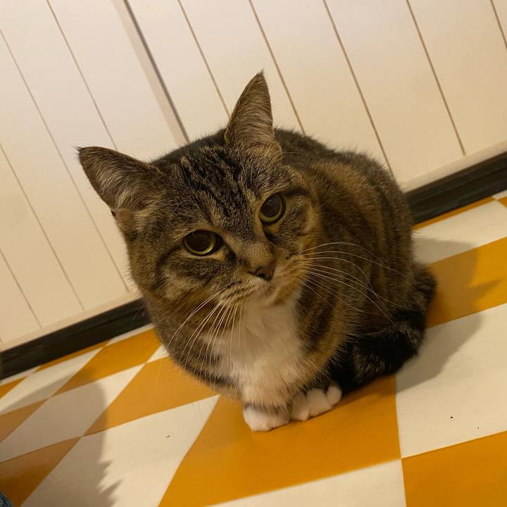 12235f06 5bad 46eb b797 4f13344e6d2c 1713737333326