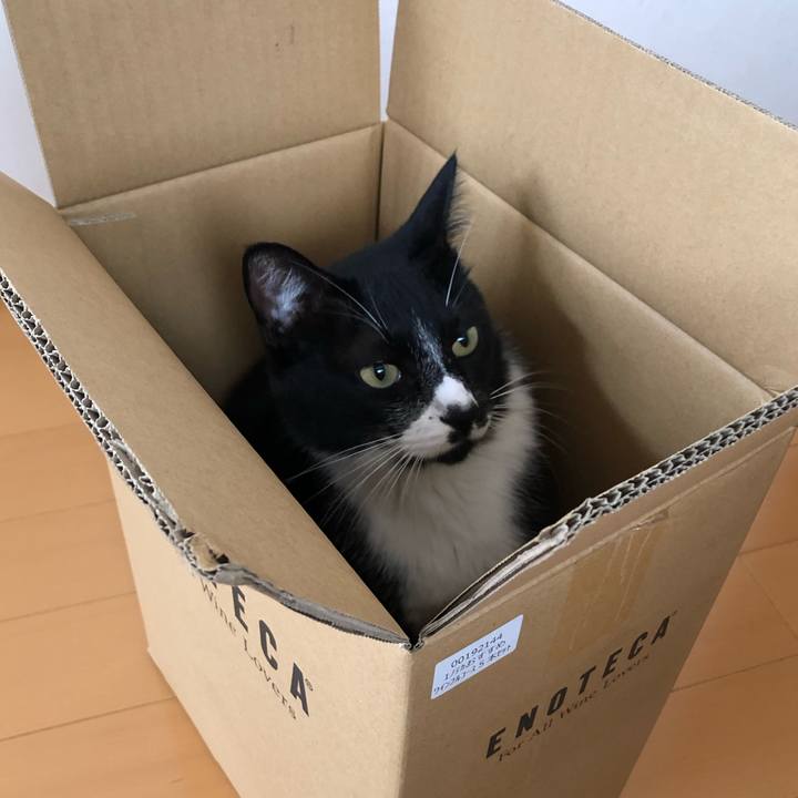 122380ff eaeb 414a 9367 04e7d89b5159 1565508003422