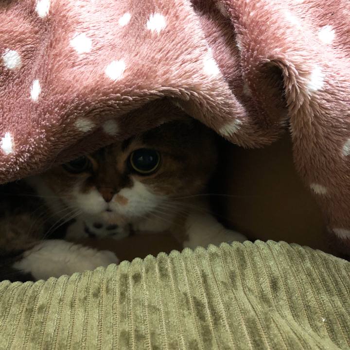 1223a3bb 5407 475a 8600 c1999a53ee4a 1546526187322