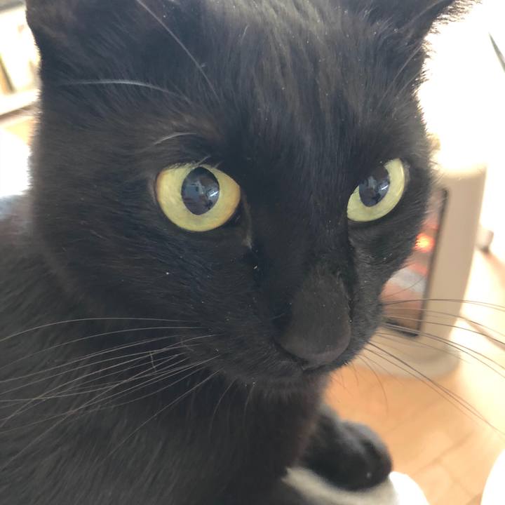 1223ae3c 10ec 4a0c a79b fcb690ea3c12 1512782645992