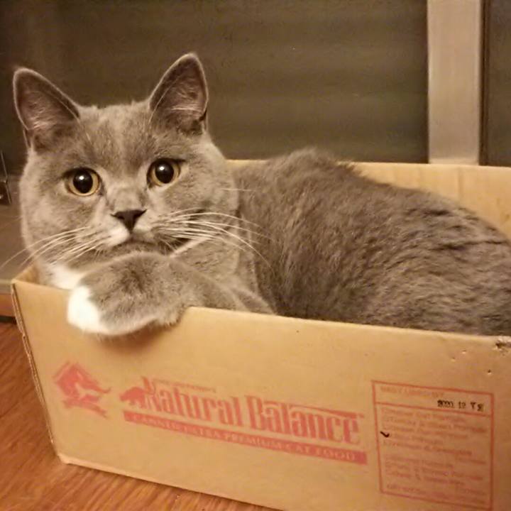 1223be11 a3b2 471c b148 01bba0137241 1542630832203