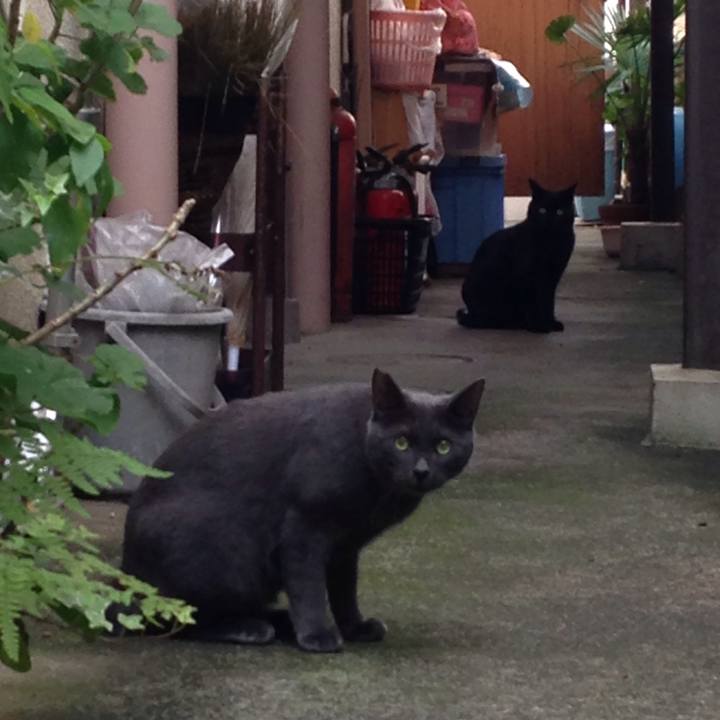 1223f52f 84ca 4b59 b0f1 c224cdda3a90 1509810311495