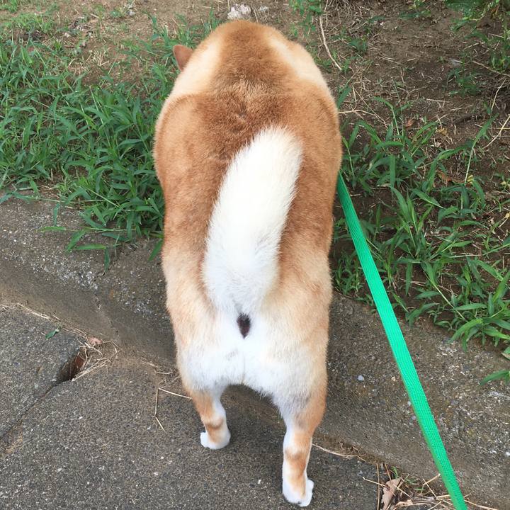 122431a9 6a00 483d 88a6 9ced2ee6a840 1600298868024