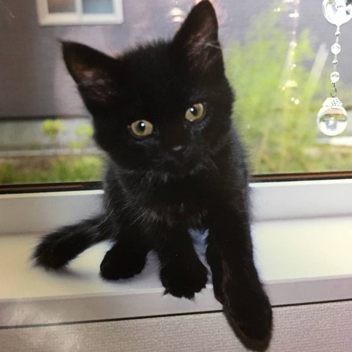 12245082 ba69 46ba 97e3 b29bfa4f662b 1514542211409