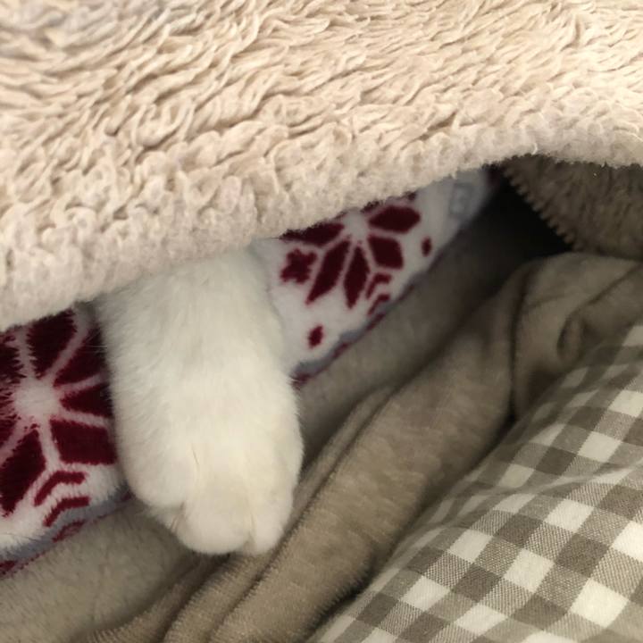 12245bb0 1039 4120 ab91 a311a07dff4a 1581167590716