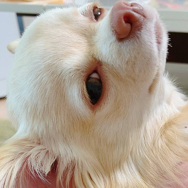 122470e3 ddff 4468 82d8 6badf83e2276 1618025508944