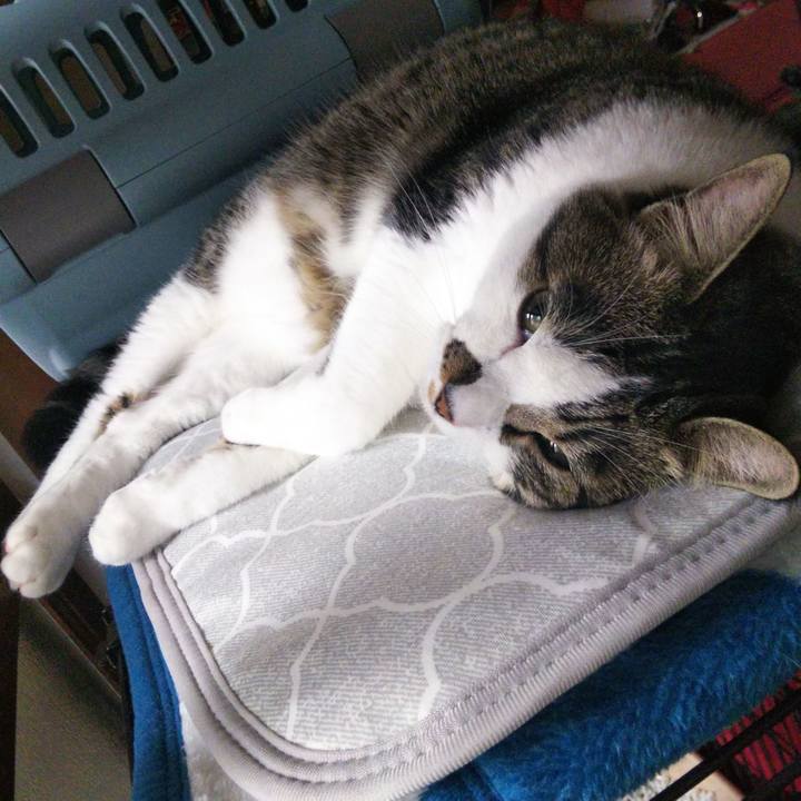 12248d41 b6bb 4348 9205 3d292988d868 1656753032996