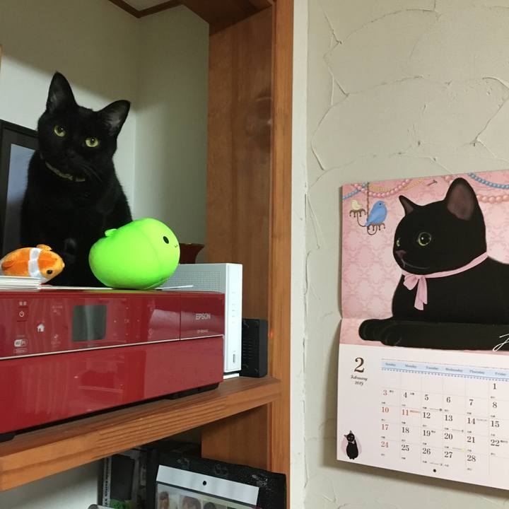 1224acbc 0d83 46e0 9066 572ac727f80d 1548854204151