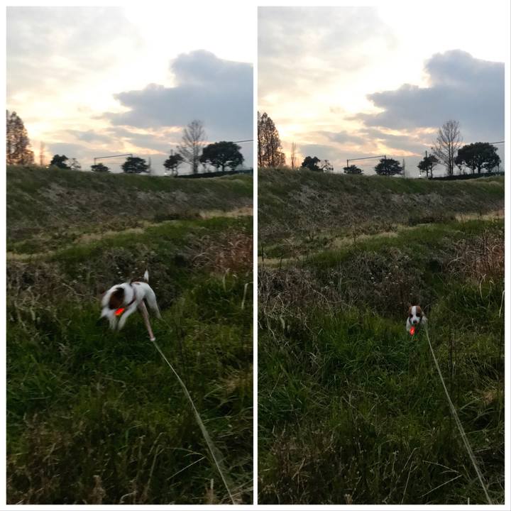 1224d55d 9828 4f0a 9165 189cb0b39b65 1513417687092