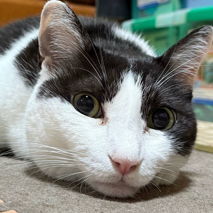 12251485 5063 498e 9d52 e446b2a74aa0 1754098199856