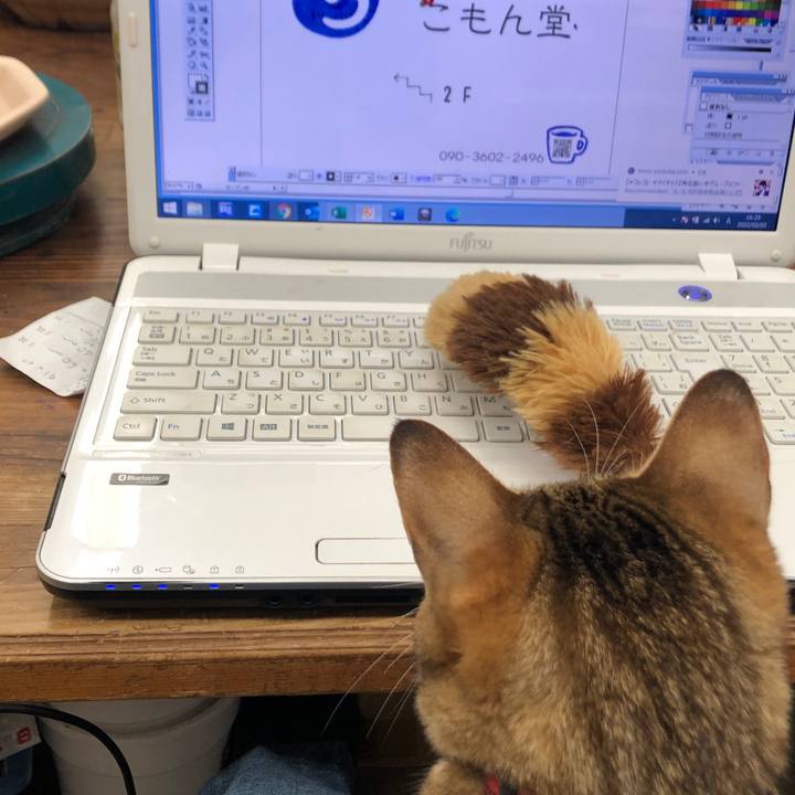 12252920 9315 4ef8 ba1c 603f6e4e9f60 1643956858114