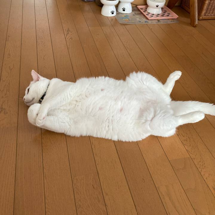 122569b2 213f 4a28 b879 1c0165f0254a 1757994504758