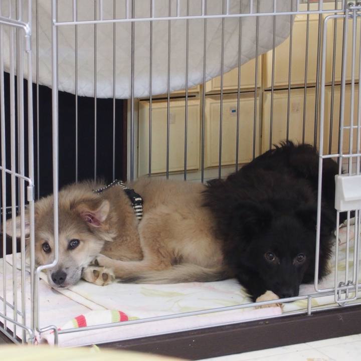 122577af e0e3 4cdb ae71 00e08bc633f4 1520601754655