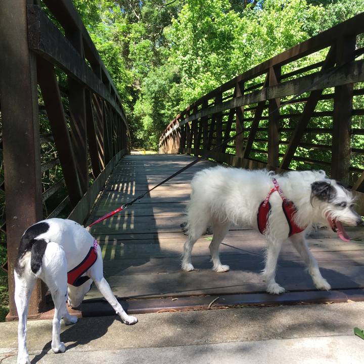 12259ee1 97ba 4ccf a977 fa61d4f893c7 1556281838355