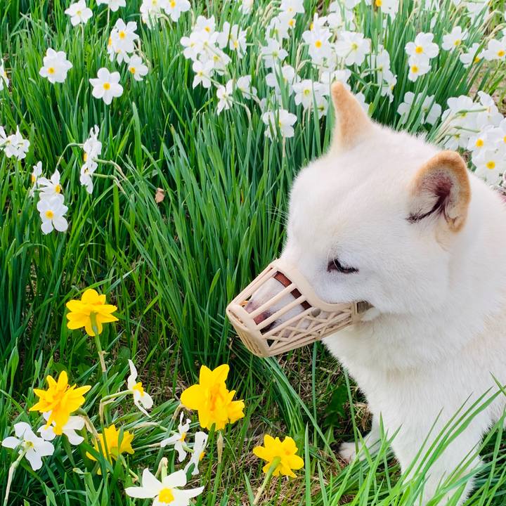 1225dd17 2186 4118 8a52 48b25a5d0a08 1589417126004