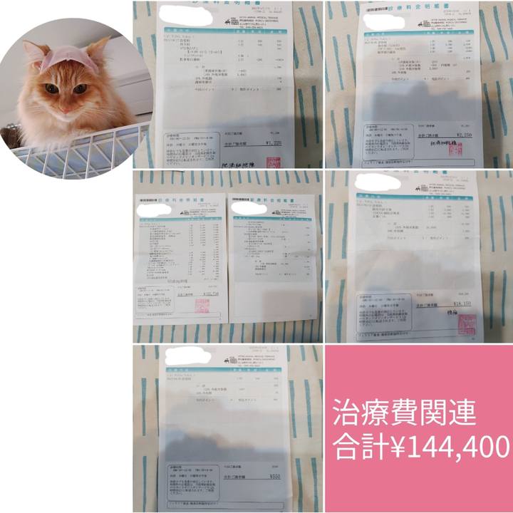 12260f42 2de9 4878 9796 4e5c5241fbf9 1684823625059