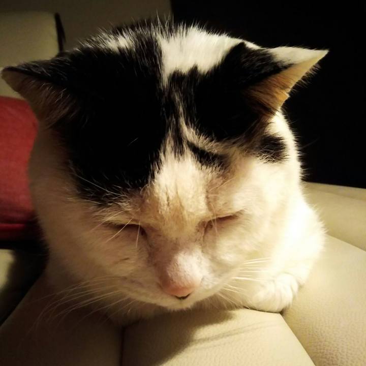 122622d1 bc89 4e78 a7b3 07de5c86312f 1581342959646