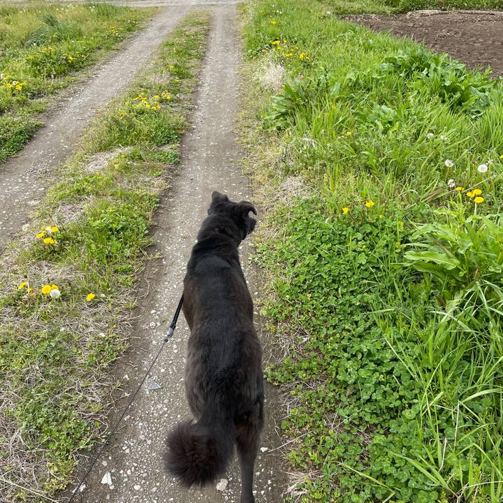 12263294 f171 452d afbb 49009a542bc3 1650174435662