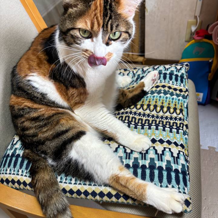 12263b67 d8a3 4424 9815 0bc50b2f4311 1741046257098