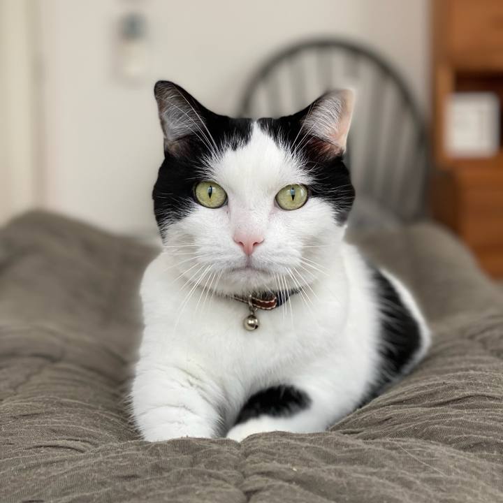 122649a6 2faf 4b15 9ff3 887b801bebd2 1761086318309