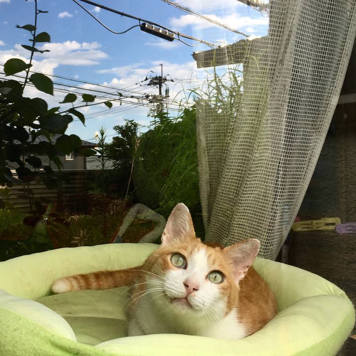 12265266 53f0 4ab1 b0f8 671351e7df37 1565311141572