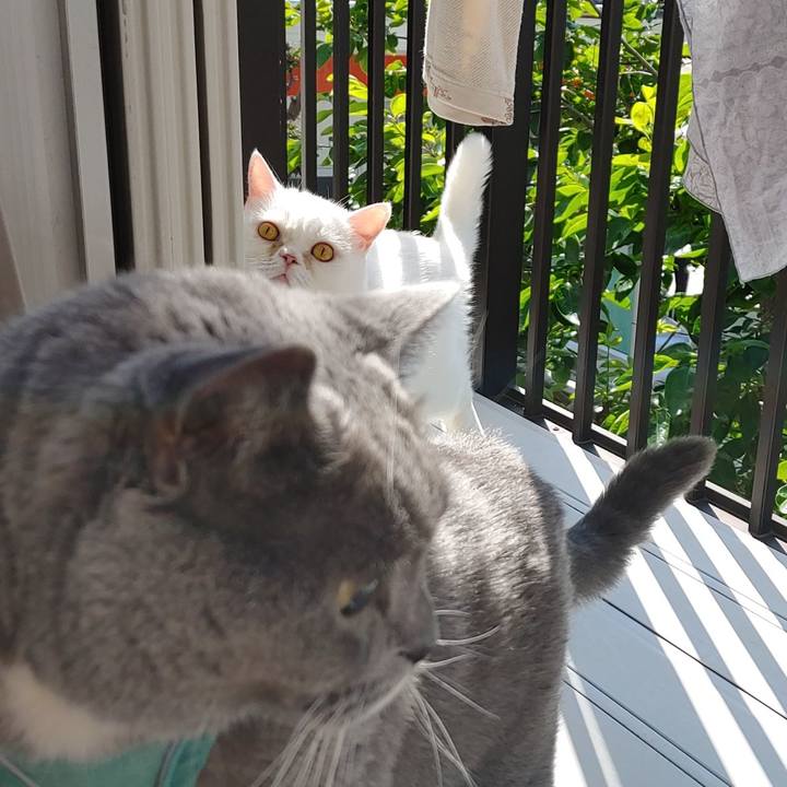 12268d17 8a4b 4ef0 a6a1 5407f6367ad8 1653780310926