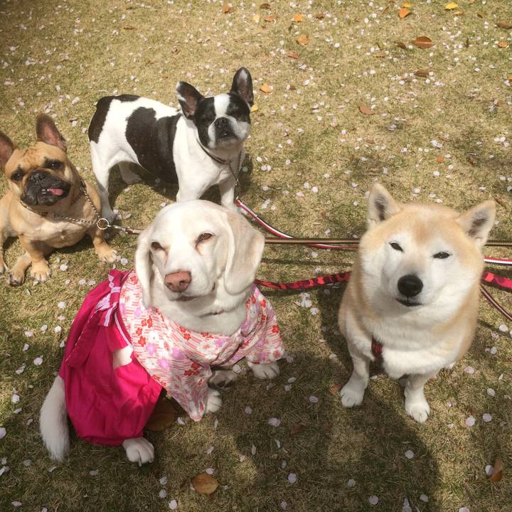 12269b91 6255 42a7 a9ca 32b630bfdfbe 1554622327334