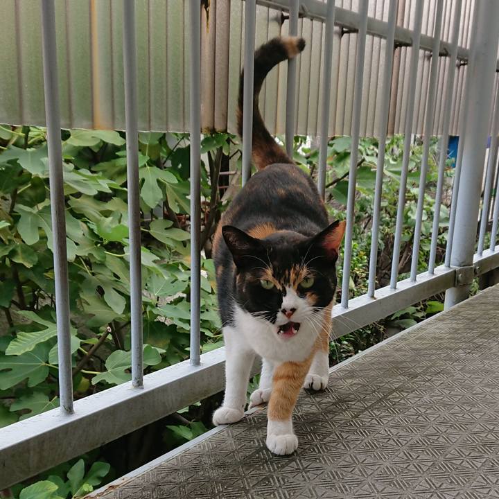 1226dd2f fa94 40d5 b9df d3be91ced0ea 1538793569464