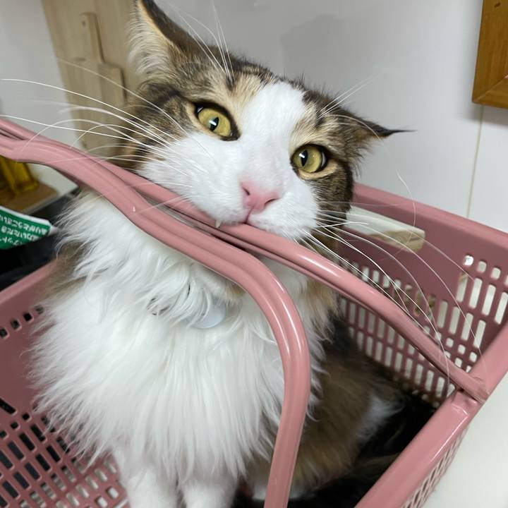 12270ffa 5857 4360 83f8 7b6ad82bc702 1646471297771