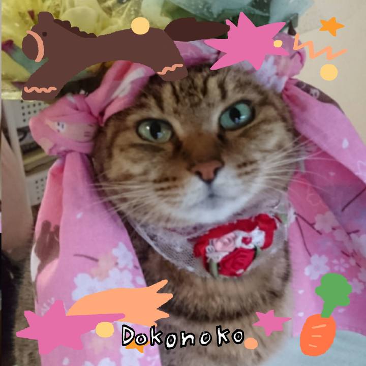 12271b04 55ff 4d72 a84e 741ec97f9949 1771886092783