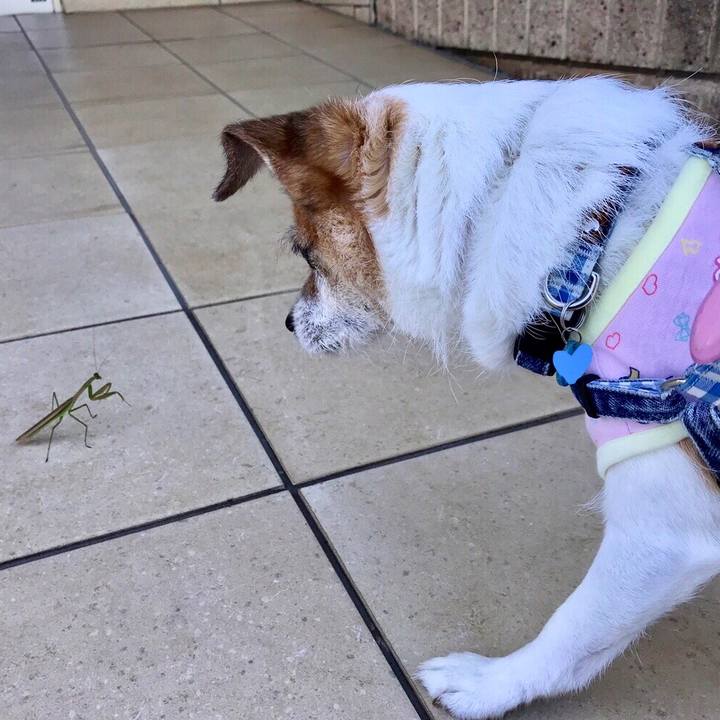 12275246 e0d2 40d2 b342 90fac0f1806b 1632874811005