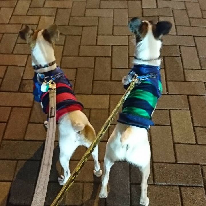 122767fb d36a 4998 96b5 faca6fbf284e 1538134990435