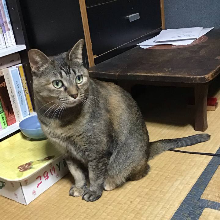 1227d7bf db0b 455f a3c0 a6a220e467c8 1705484306103