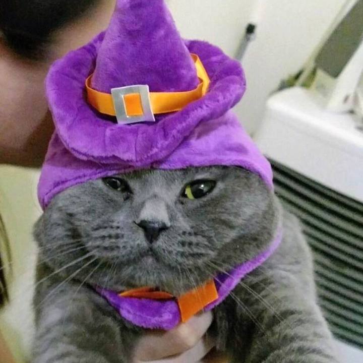 1227fc05 b96b 48af a533 4c3b0c196e83 1760935801304