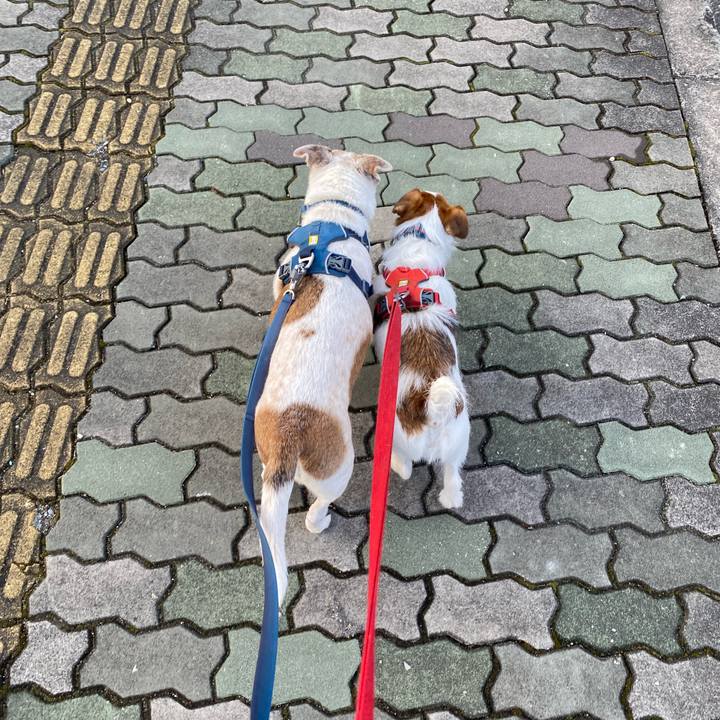 12281768 d8bf 4aa6 9c66 277ccf322513 1677365794892