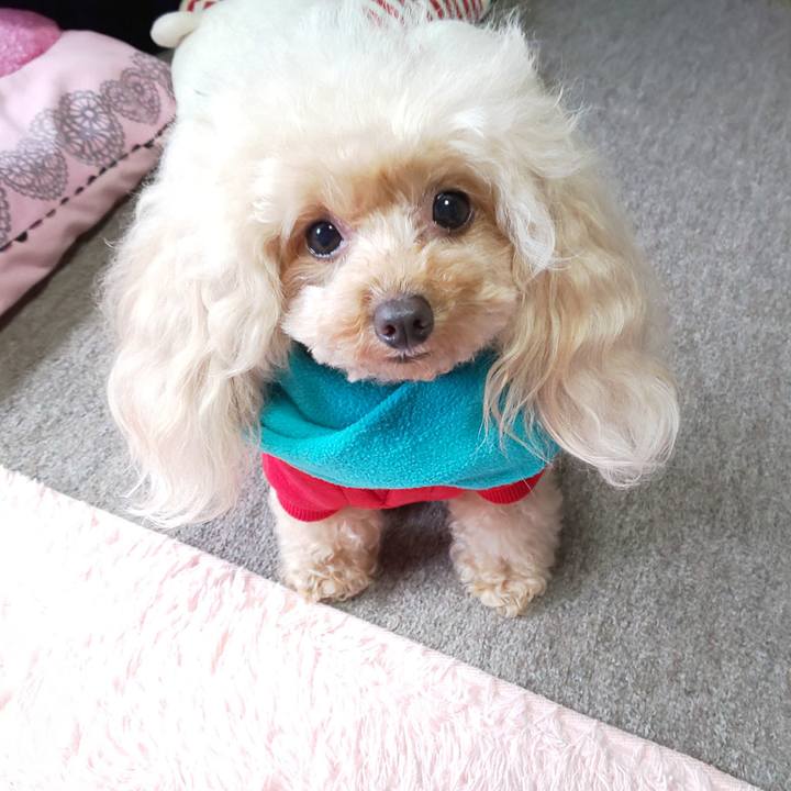 1228a59d a58f 41e1 a468 62a9a41f8323 1573633098996