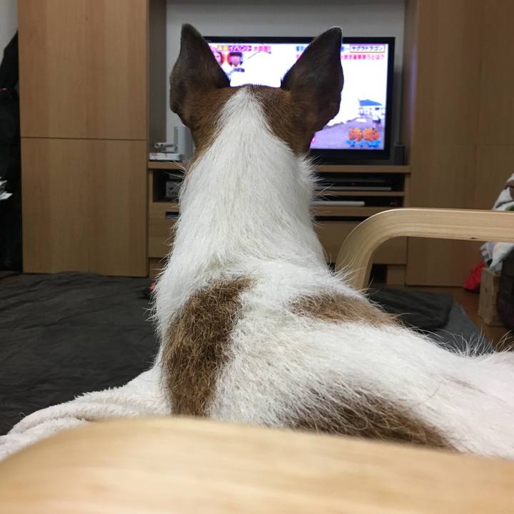 1228f499 f40c 4fbe a6e0 5991c0012db4 1567213763937