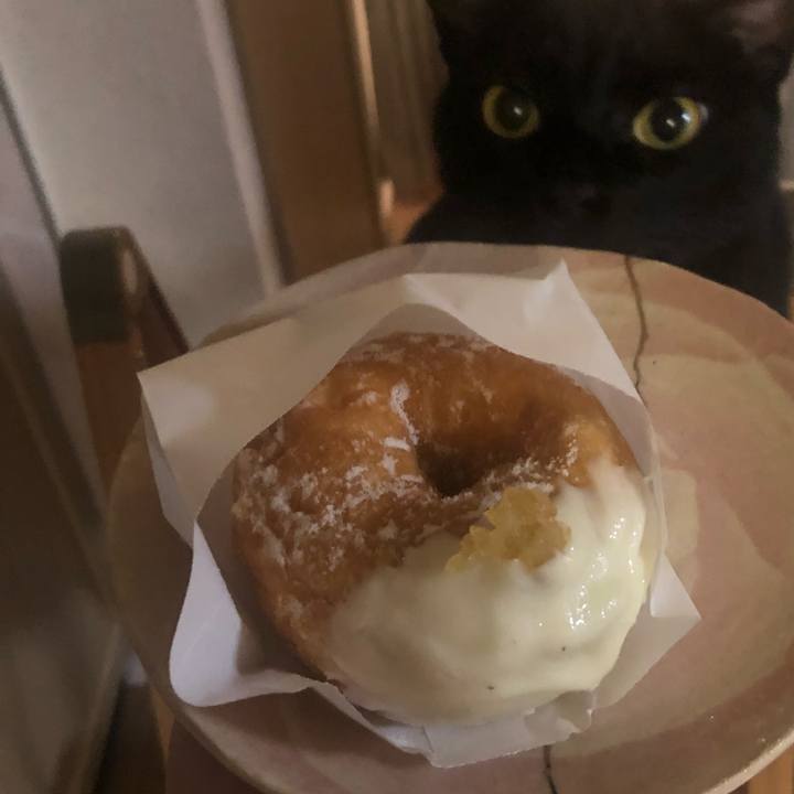 122904c1 b53f 4e40 82e3 7ff8d8e5d56f 1625833035050