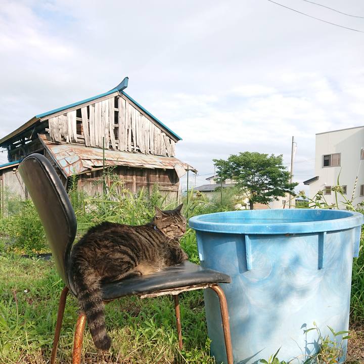 12292d2e 9ea4 483f be4d 4c69fa7ef25d 1658734837772