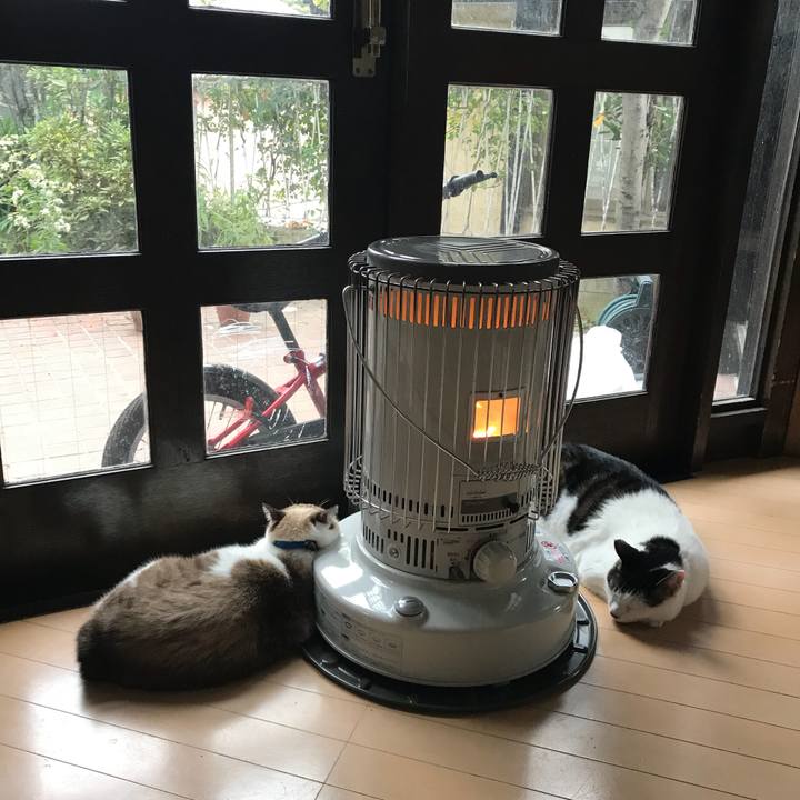 12292ee2 4642 41f8 b40e a9eb2e36e32a 1510985841421