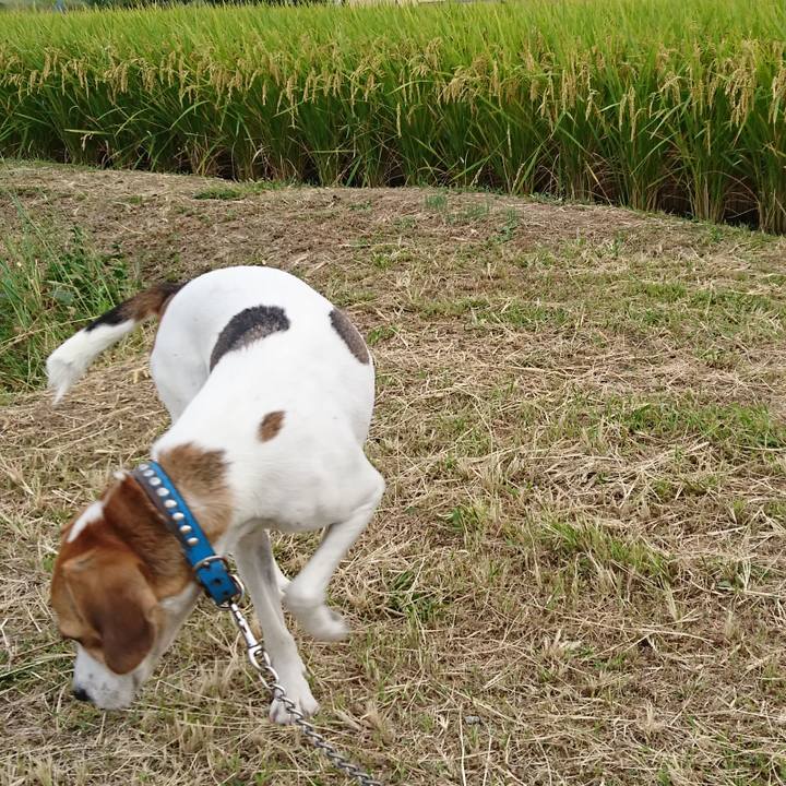 1229381c 0857 474c ab5c 88fc09e72c0c 1569743391314