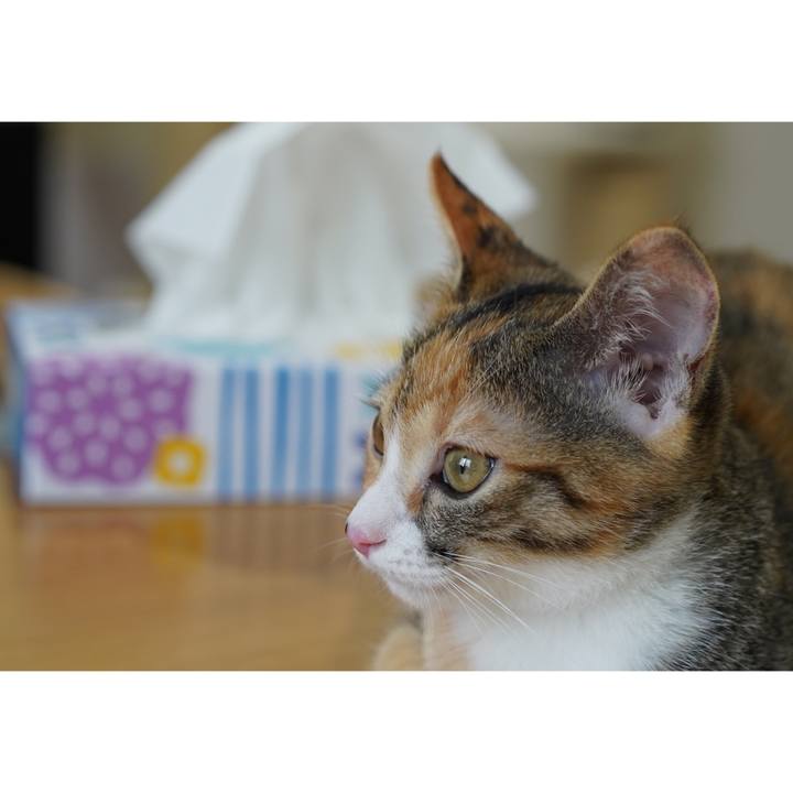 122940bc e15b 4a81 a934 f3638ca3e814 1570254663216