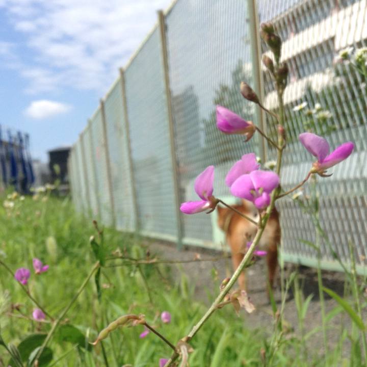 122949aa f7ea 4928 a127 54d0dd46ed45 1568683326637