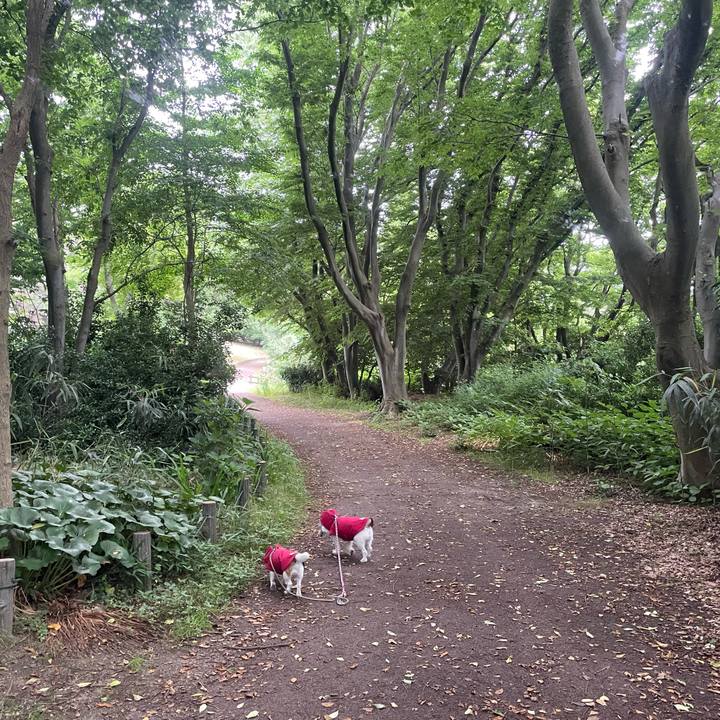 12298118 9d50 4963 b138 0f808a52a97f 1749854551502