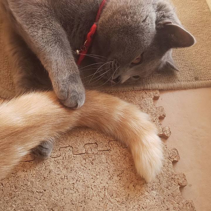 122997fd 455d 45b9 9f3f d54f07204e4f 1542777964083